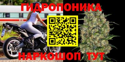 амф Ярцево