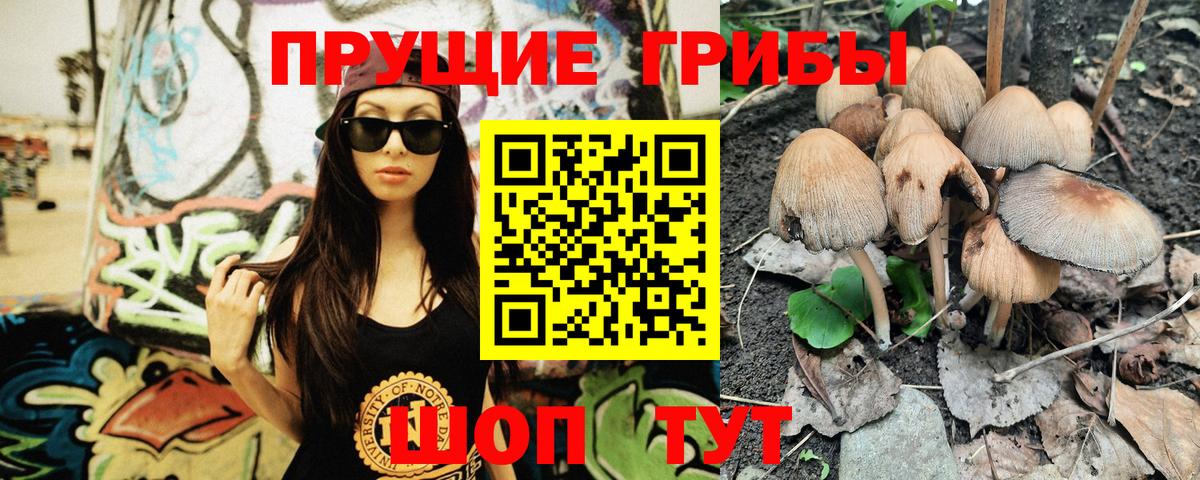 Галлюциногенные грибы Psilocybine cubensis  Вход с VPN  цены наркотик  Псилоцибиновые грибы Cubensis  Чусовой 